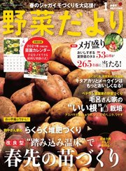 野菜だより 2021年1月号