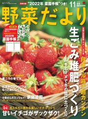 野菜だより 2021年11月号