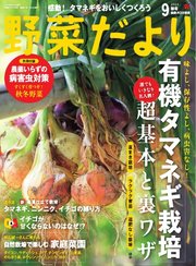 野菜だより 2024年9月号