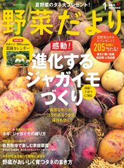 野菜だより 2025年1月号