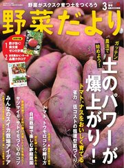 野菜だより 2025年3月号