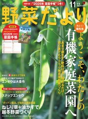 野菜だより 2025年11月号