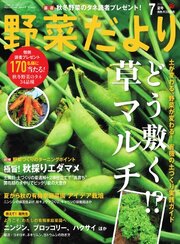 野菜だより 100巻