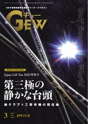 ゴルフ エコノミック ワールド 228巻