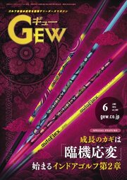 ゴルフ エコノミック ワールド 231巻