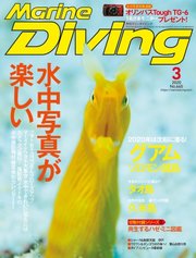 マリンダイビング 2020年3月号