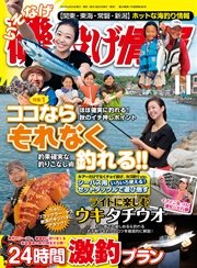 磯・投げ情報 2016年 11月号