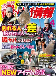 磯・投げ情報 2017年 04月号