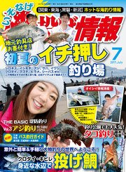 磯・投げ情報 2017年 07月号