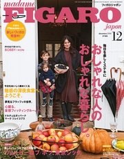 madame FIGARO japon（フィガロ ジャポン）2016年 12月号