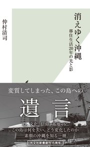 消えゆく沖縄～移住生活20年の光と影～