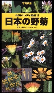 山溪ハンディ図鑑11 日本の野菊