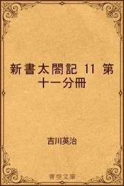 新書太閤記11 第十一分冊