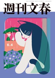 週刊文春 461巻