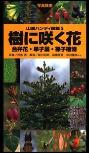 山溪ハンディ図鑑5 樹に咲く花 合弁花・単子葉・裸子植物