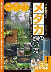 プロが教える メダカの飼い方 ～失敗しない繁殖術から魅せるレイアウト法まで～