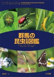群馬の昆虫生態図鑑