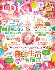 LDK 2018年4月号