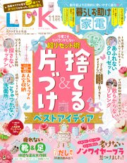 LDK 161巻