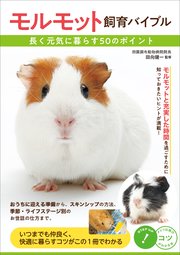 モルモット飼育バイブル 長く元気に暮らす 50のポイント