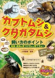 カブトムシ＆クワガタムシ 飼い方のポイント 幼虫・成虫の見つけ方から育て方まで