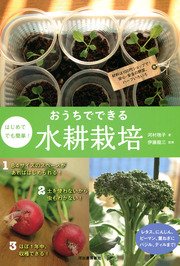 はじめてでも簡単！ おうちでできる水耕栽培 材料は100円ショップで！ 安心・安全の野菜、ハーブいろいろ