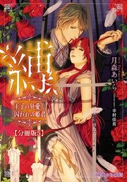 縛 王子の狂愛、囚われの姫君【分冊版5】【イラスト入り】