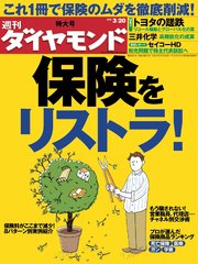 週刊ダイヤモンド 10年3月20日号