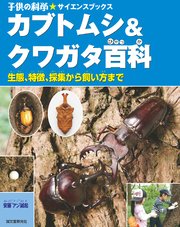 カブトムシ＆クワガタ百科：生態、特徴、採集から飼い方まで