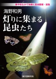 海野和男 灯りに集まる昆虫たち：家や街なかで気軽に昆虫観察・採集