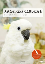 大きなインコとオウム飼いになる：育て方や食事、グッズ、コミュニケーションまで