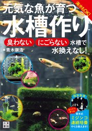 元気な魚が育つ水槽作り