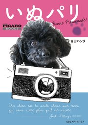 いぬパリ