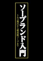 ソープランド入門 ～トルコ風呂から超高級ソープまで～