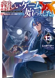 新しいゲーム始めました。～使命もないのに最強です？～ 13巻