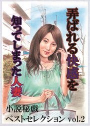 弄ばれる快感を知ってしまった人妻-「小説秘戯」ベストセレクションvol.2