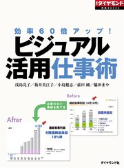 ビジュアル活用仕事術（週刊ダイヤモンド特集BOOKS Vol.341）