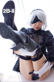 2B-II