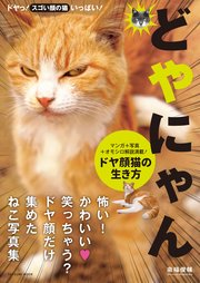 どやにゃん。ドヤ顔猫の生き方