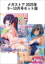 メガストアセット版