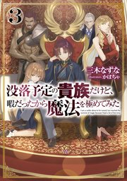 没落予定の貴族だけど、暇だったから魔法を極めてみた3【電子書籍限定書き下ろしSS付き】