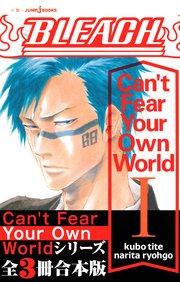 BLEACH Can’t Fear Your Own World