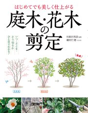 はじめてでも美しく仕上がる 庭木・花木の剪定