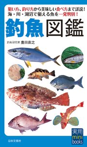 実用 mini books 釣魚図鑑