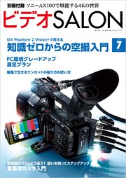 ビデオ SALON (サロン) 2014年 07月号