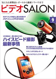 ビデオ SALON (サロン) 2014年 09月号