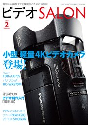 ビデオ SALON (サロン) 2015年 2月号