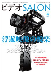 ビデオ SALON (サロン) 2015年 4月号