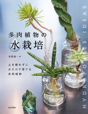 多肉植物の水栽培
