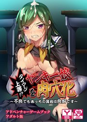 タイマン上等！？ヤンキー娘を肉穴化～不良でもあっちの具合は良好です～ アドベンチャーゲームブック アダルト版